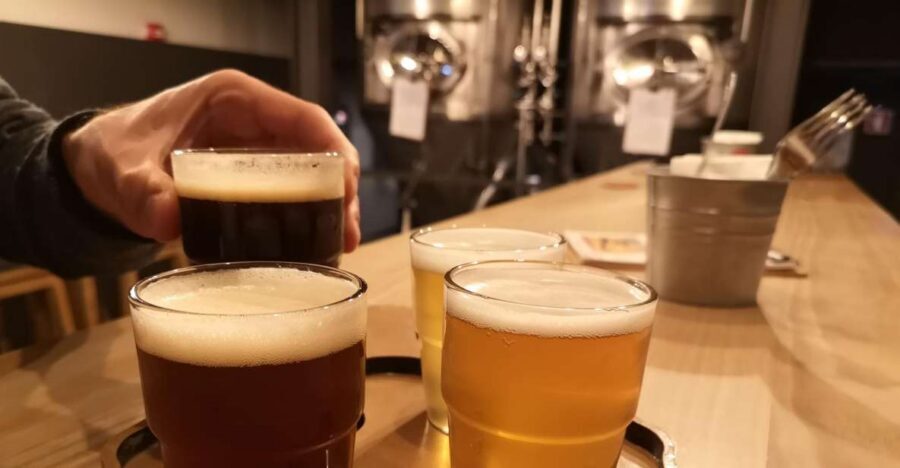 Porto: Craft Beer, Porto Secrets, and Wine Tour - Where you start: the Monumento aos Mortos da Grande Guerra