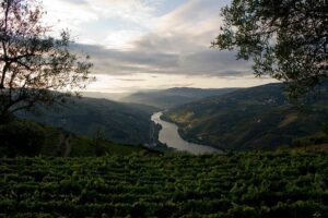 Porto: Day Trip to Douro including lunch and Rivercruise - UNESCO Douro Valley and lunch with drinks included