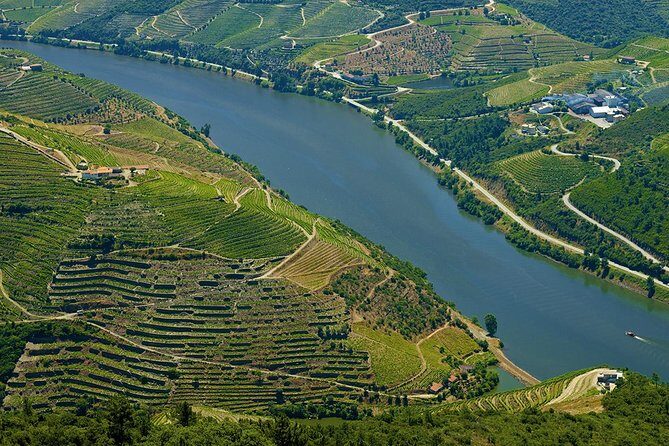 Porto: Day Trip to Douro including lunch and Rivercruise - Vineyard estate walking tour: where tastings get real