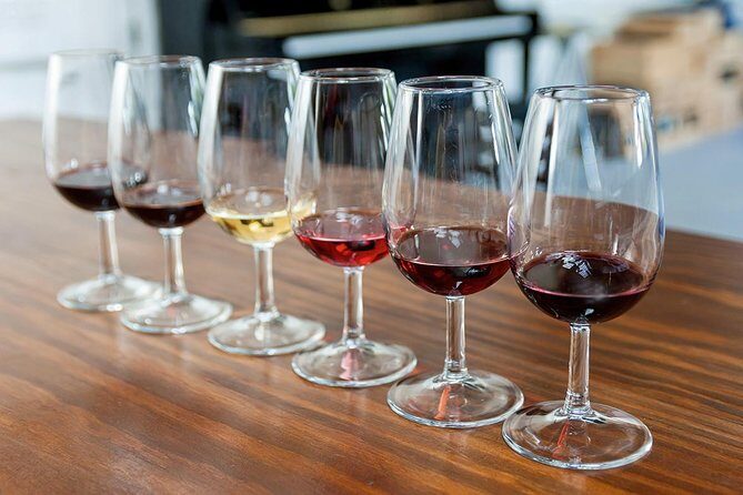 Porto: Day Trip to Douro including lunch and Rivercruise - Group size, language mix, and guide quality