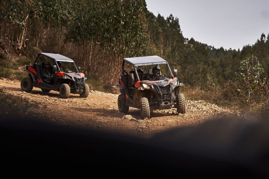 Porto: Dirt and Dust Tour by Oporto Buggy - Price and Value: $85 for a Group Up to 2