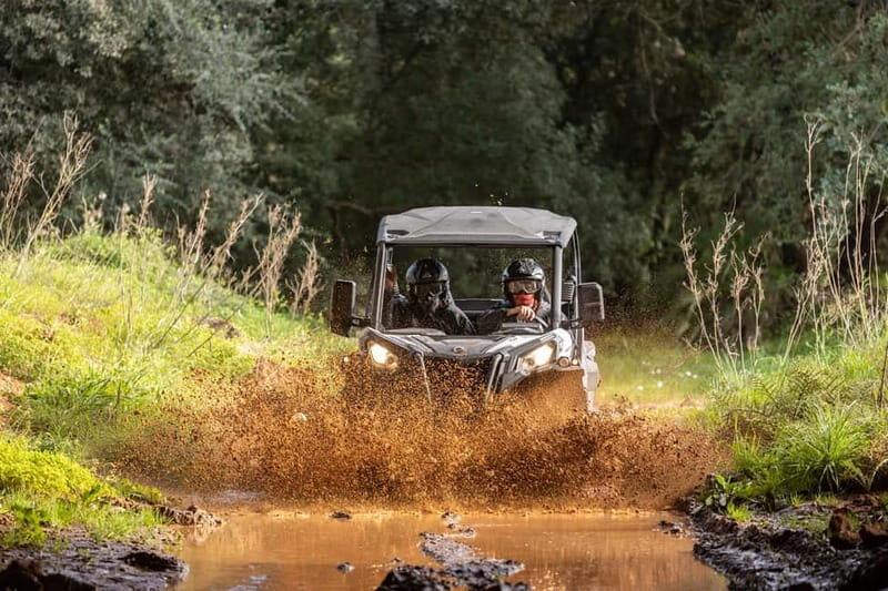 Porto: Dirt and Dust Tour by Oporto Buggy - The Appeal of a Porto Buggy Ride That’s Actually Extreme