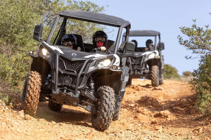 Porto: Dirt and Dust Tour by Oporto Buggy - How the Tour Works: A Short 60-Minute Circuit With Big Energy