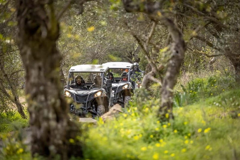 Porto: Dirt and Dust Tour by Oporto Buggy - Where It Starts: Baltar Meet-Up and Smart Pickup Options