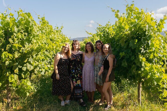 Porto: Douro Valley, 2 Wine Regions, Sommelier, Boat Trip & Lunch - From Porto to the Vineyards: How the Day Stays Comfortable