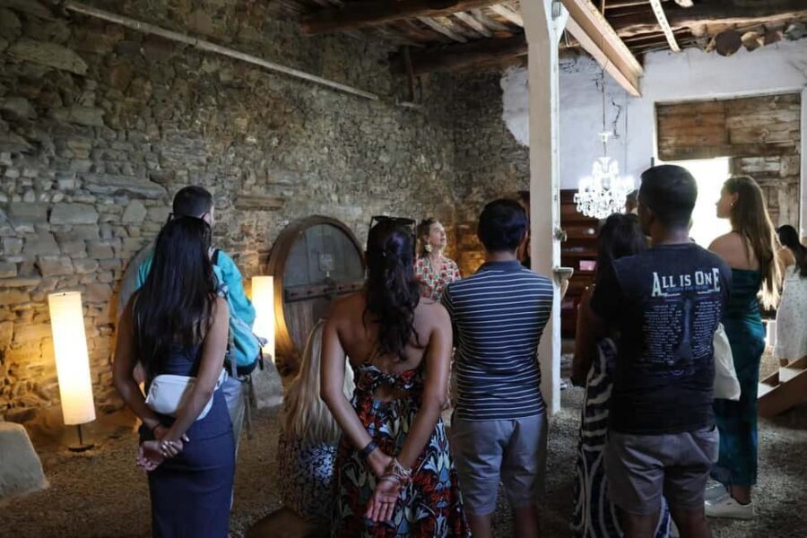 Porto: Douro Valley, 2 Wineries, Lunch, and 1-Hour Boat Tour - Second Winery in Cambres After the N222 Drive