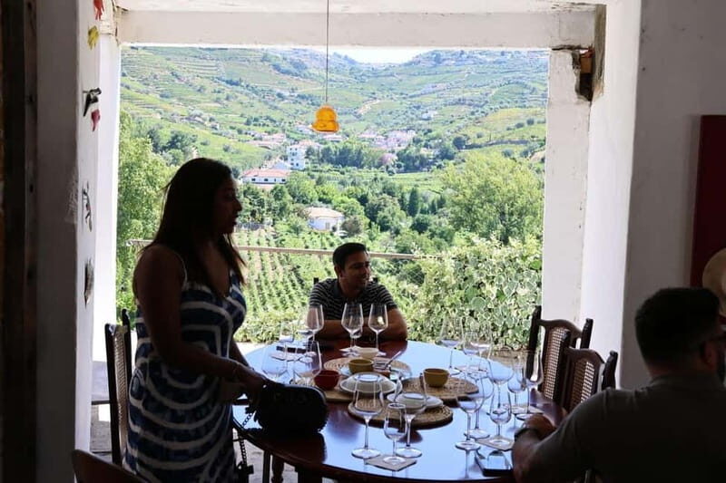 Porto: Douro Valley, 2 Wineries, Lunch, and 1-Hour Boat Tour - Who Should Book This (and Who Should Skip It)