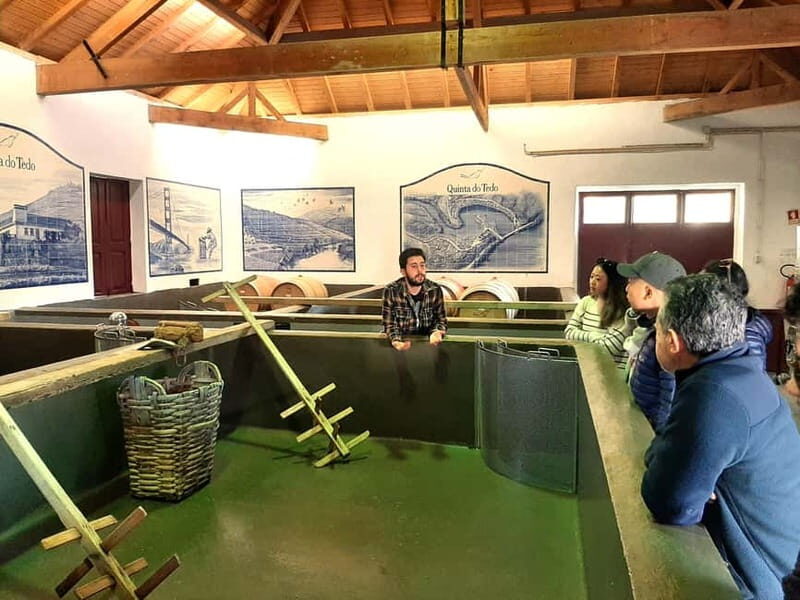 Porto: Douro Valley, 2 Wineries, Lunch & Private Boat Trip - Why this Douro day feels more personal than a big-group tour