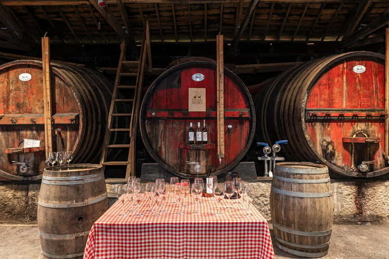 Porto: Douro Valley, 2 Wineries, Lunch & Private Boat Trip - Who should book this tour, and who should skip it