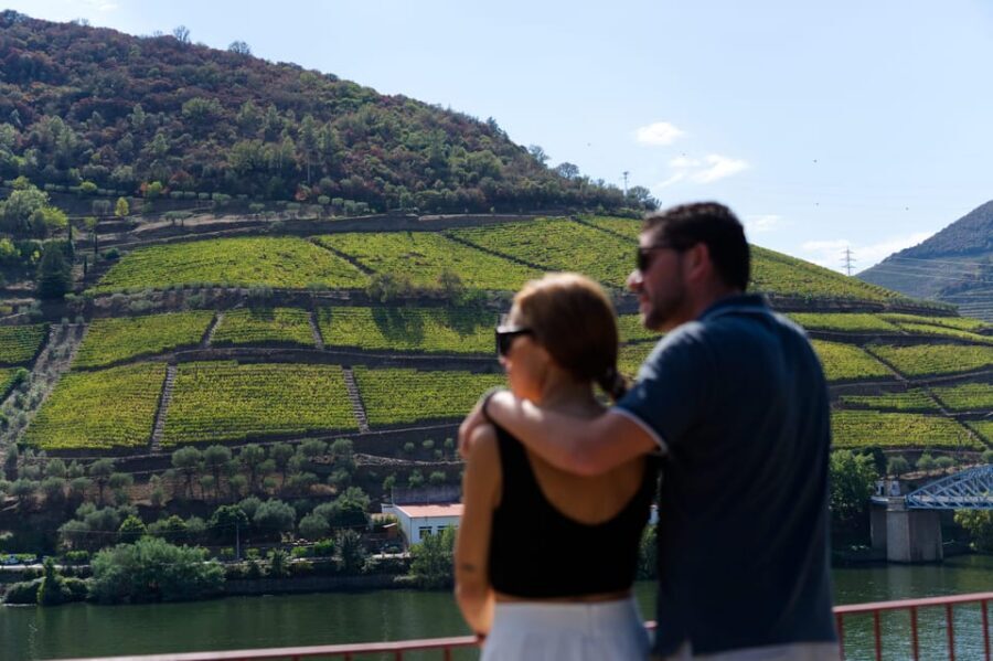 Porto: Douro Valley & Amarante Wine, Food & River Tour - A taste-first Douro day that keeps moving