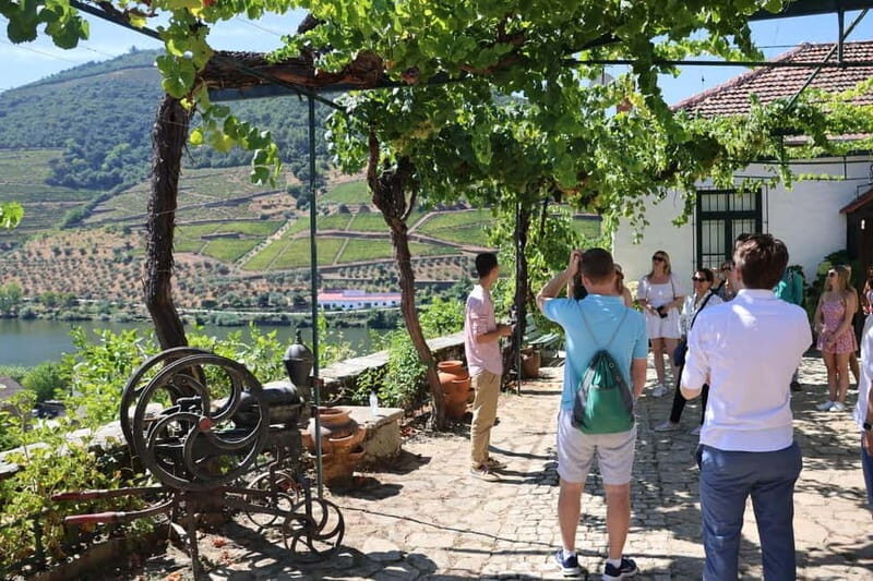 Porto: DOURO VALLEY and AMARANTE City Half-day Tour - Pinhão, Portugal’s Douro Side of the Story