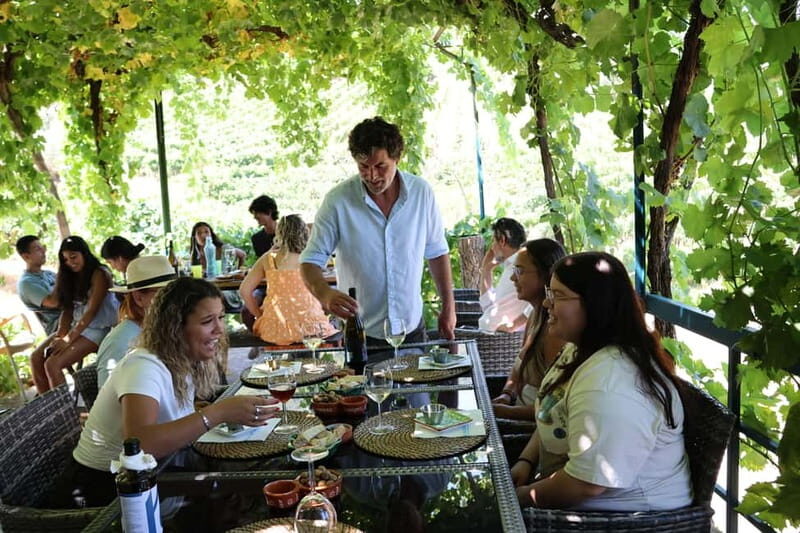 Porto: DOURO VALLEY and AMARANTE City Half-day Tour - Amarante: Vinho Verde Capital and a Proper Local Tavern Snack