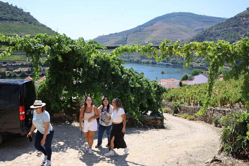 Porto: DOURO VALLEY and AMARANTE City Half-day Tour - Price and Value: Does $81 Work for This Route?