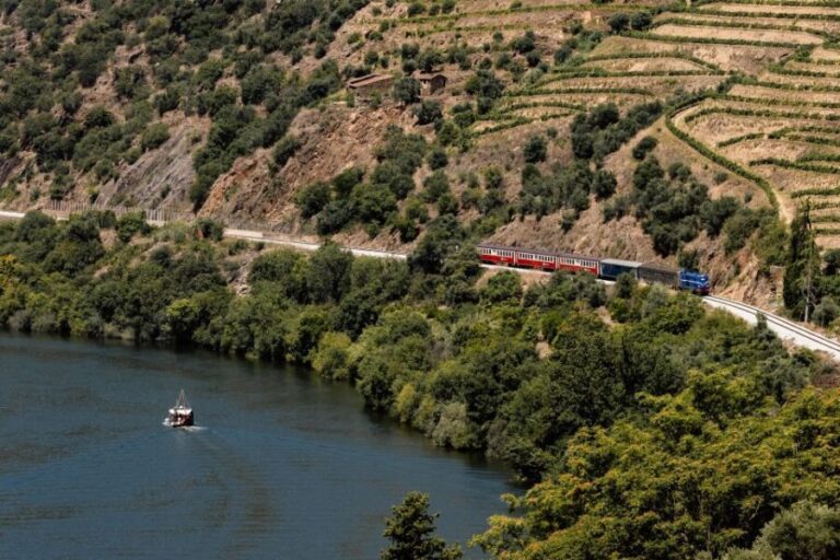 Porto: Douro Valley Full-Day Boat, Train, and Lunch Tour - Meeting at Trindade Domus and getting out of Porto fast