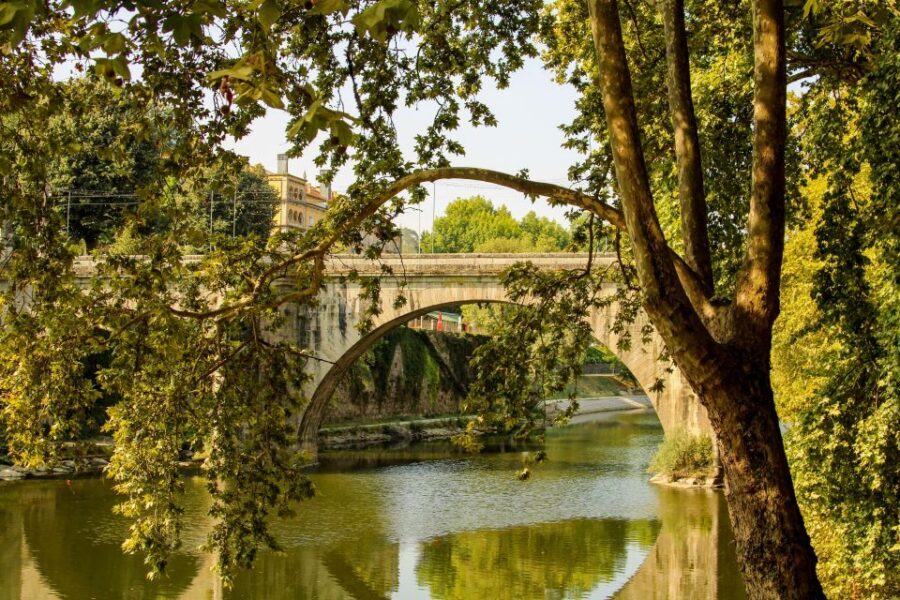 Porto: Douro Valley History & Wine Tour with Cruise & Lunch - Who should book this Douro day trip?