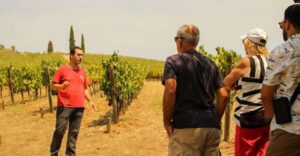 Porto: Douro Valley History & Wine Tour with Cruise & Lunch - Amarante: quick history, art streets, and local sweets