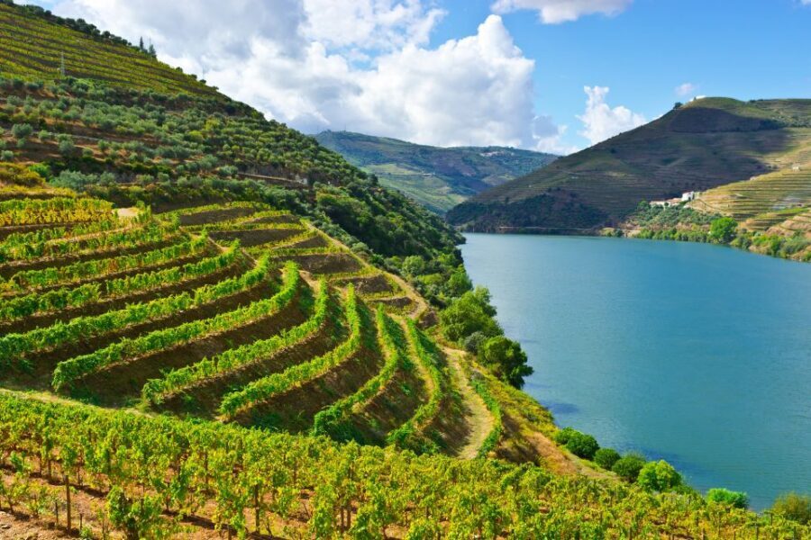 Porto: Douro Valley History & Wine Tour with Cruise & Lunch - The São Leonardo da Galafura viewpoint: where the Douro clicks