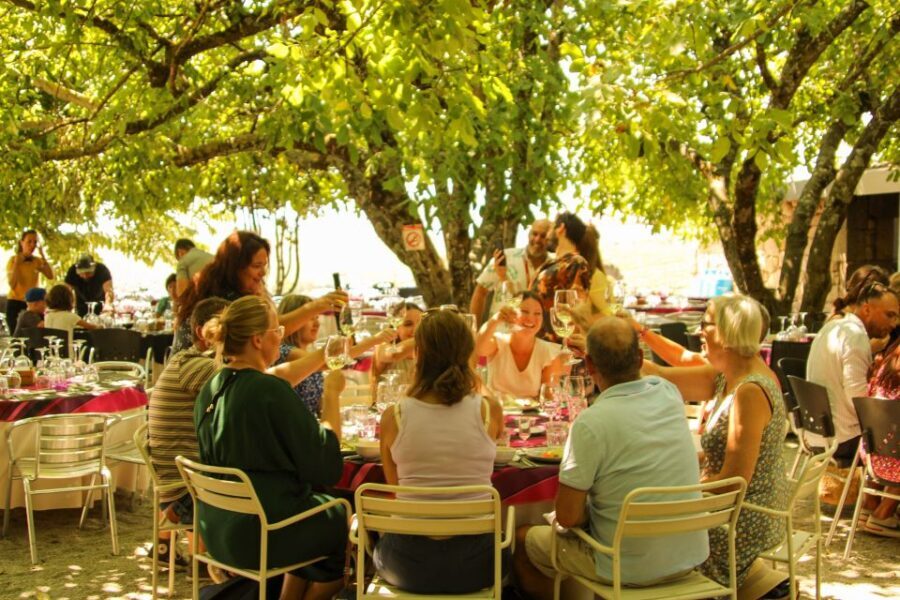 Porto: Douro Valley History & Wine Tour with Cruise & Lunch - Lunch with real Douro wine pairing (and dietary options)