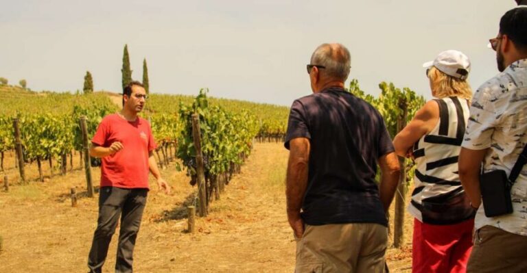 Porto: Douro Valley History & Wine Tour with Cruise & Lunch - Amarante: quick history, art streets, and local sweets