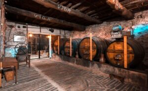 Porto: Douro Valley Private Grand Experience - Private - The historic winery visit: vineyards, cellar, and olive oil