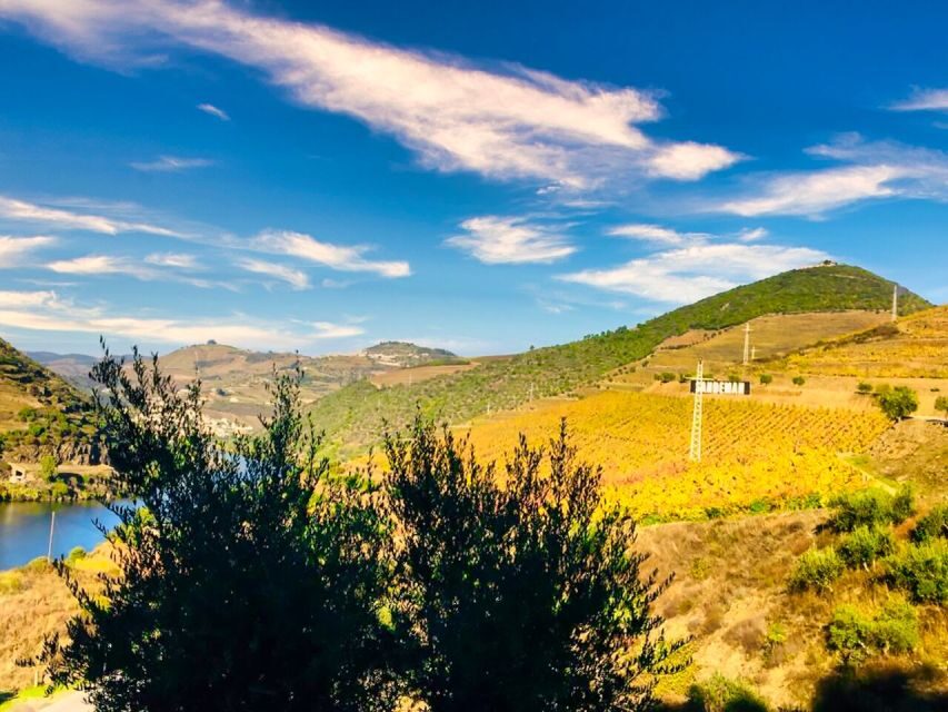 Porto: Douro Valley Private Tour 2 Vineyards & River Cruise - Who this Douro day suits best