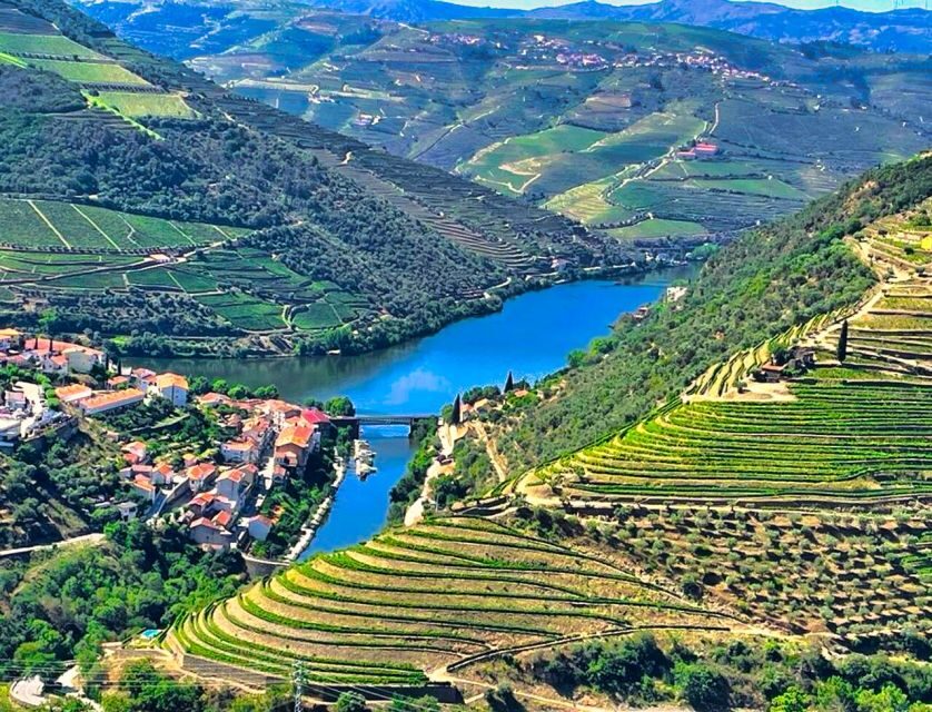 Porto: Douro Valley Private Tour 2 Vineyards & River Cruise - From Porto to the Douro Valley: that scenic drive starts the day right