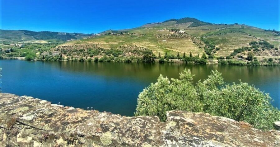 Porto: Douro Valley Private Tour 2 Vineyards & River Cruise - Lunch at the winery: terraced vineyard views while you eat
