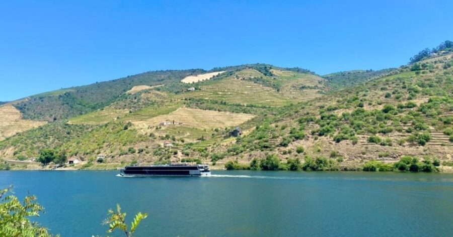 Porto: Douro Valley Private Tour 2 Vineyards & River Cruise - São Cristovão do Douro photo stop: small moments with big payoff