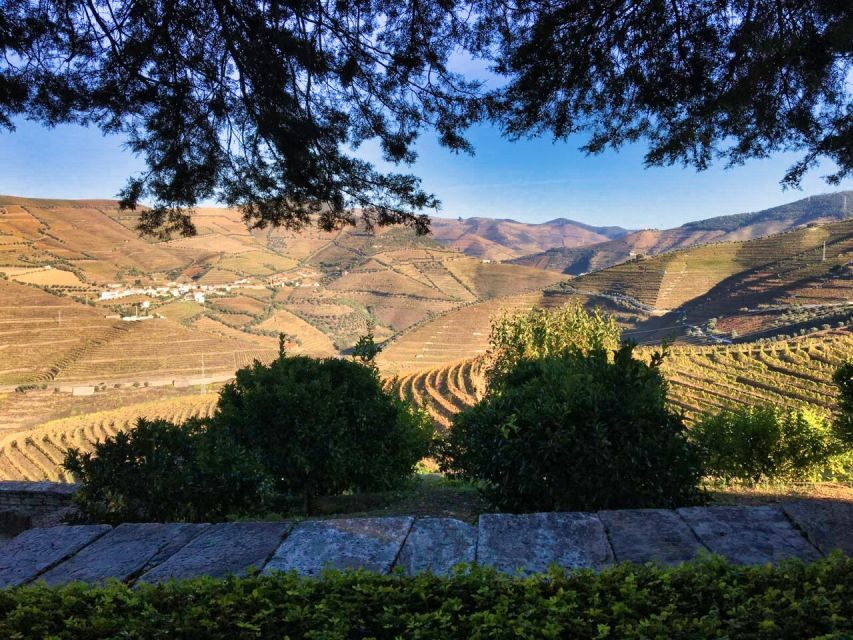 Porto: Douro Valley Private Tour 2 Vineyards & River Cruise - Pinhão dock and the Douro River cruise: seeing the bends from the water