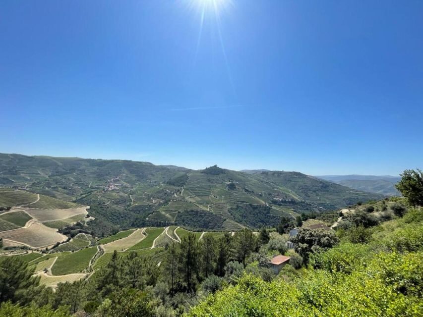 Porto: Douro Valley Private Tour 2 Vineyards & River Cruise - Back to Porto: what you’ll remember after the tastings are done