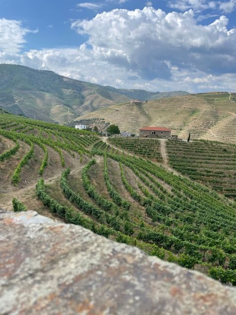 Porto: Douro Valley Private Tour 2 Vineyards & River Cruise - Two vineyard visits in Douro country: tastings that feel local, not generic