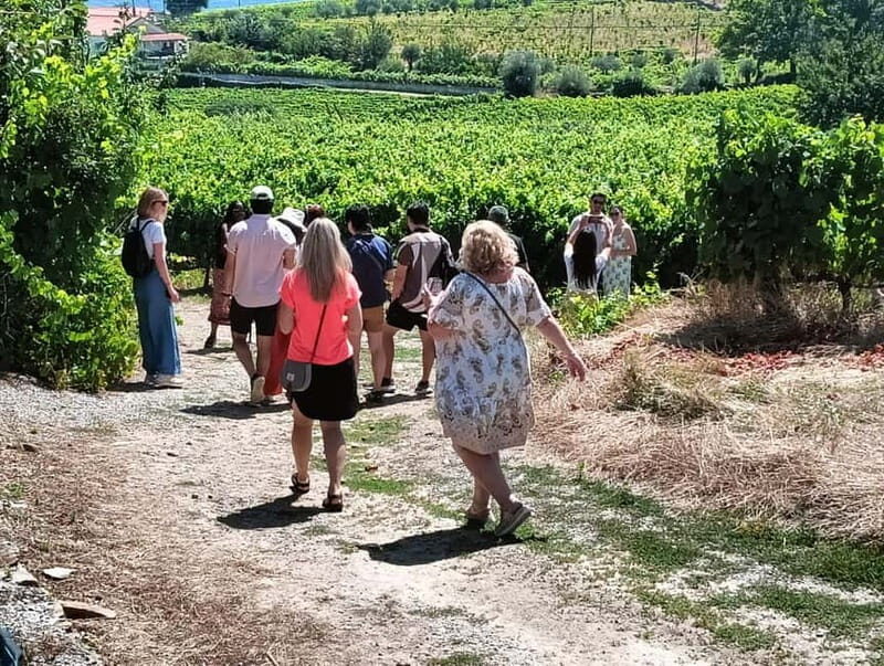 Porto: Douro Valley Tour at 2 Wineries with Lunch and Cruise - Pinhão Rabelo Cruise: Why the Best Douro Views Are From the Water