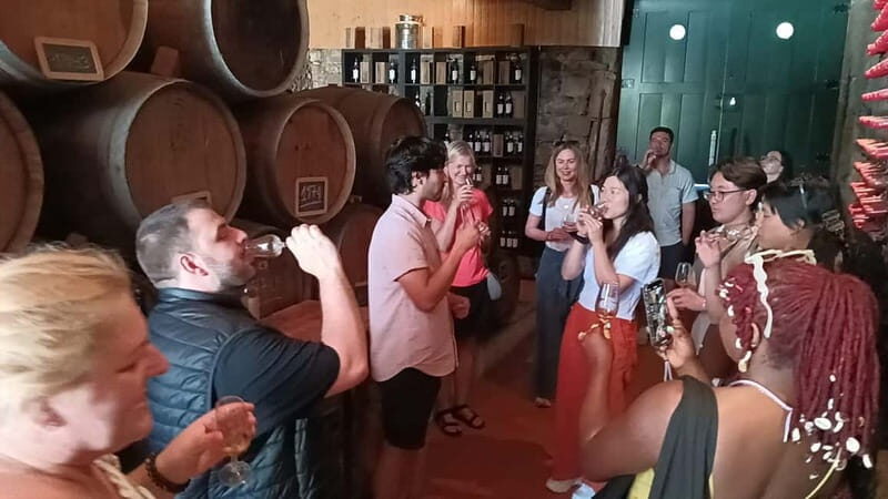 Porto: Douro Valley Tour at 2 Wineries with Lunch and Cruise - Vilarinho de São Romão Winery Time: Your Second Chance to Ask Questions