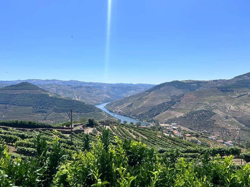Porto: Douro Valley Tour with 3 Wineries and Lunch - Porto to the Douro: What This 9-Hour Day Trip Feels Like