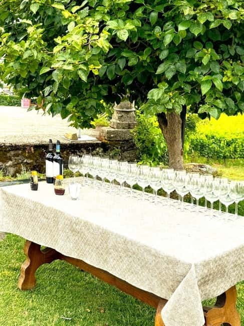 Porto: Douro Valley Tour with 3 Wineries and Lunch - The Small-Group Advantage: More Time with Your Guide