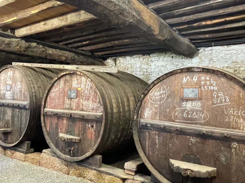 Porto: Douro Valley Tour with 3 Wineries and Lunch - What to Bring (and What to Expect in Rain)