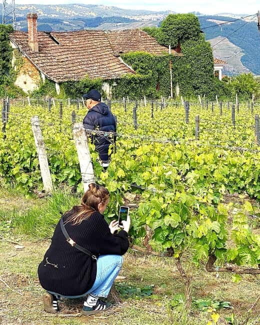 Porto: Douro Valley Tour with 3 Wineries and Lunch - Who This Tour Is Best For