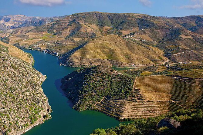 Porto: Douro Valley Wine Tour Including Lunch - Sabrosa winery visit and lunch: where the day turns into real food