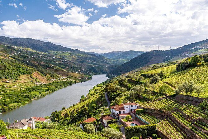 Porto: Douro Valley Wine Tour Including Lunch - Pinhão Rabelo boat cruise: short, scenic, and worth it for the angle