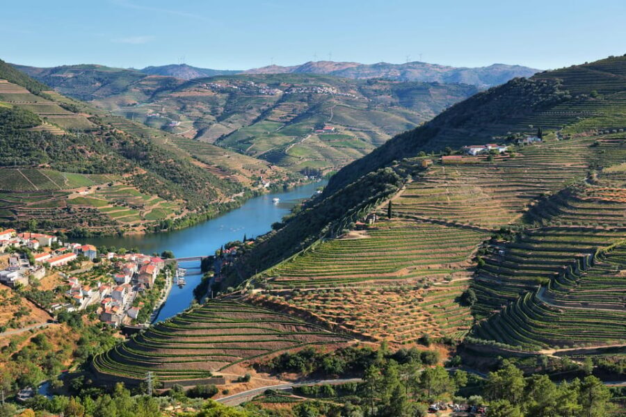 Porto: Douro Valley Wine Tour with a Sommelier & Boat Trip - Key highlights worth your time