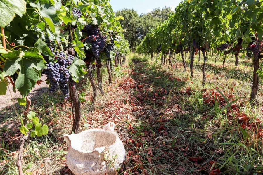 Porto: Douro Valley Wine Tour with a Sommelier & Boat Trip - What to bring (so the day stays comfortable)