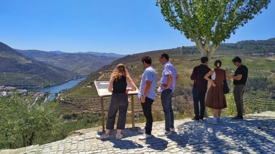 Porto: Douro Valley Wine Tour with Tastings, Boat, and Lunch - Quick reasons this Douro day works so well