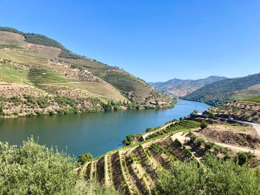 Porto: Douro Valley Wine Tour with Tastings, Boat, and Lunch - Why the Douro feels more human in a max-8 mini van