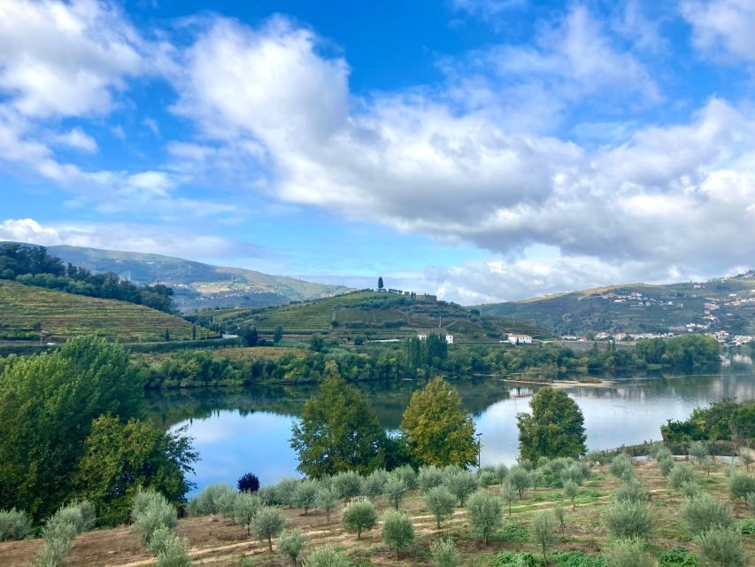 Porto: Douro Valley Wine Tour with Tastings, Boat, and Lunch - The first winery stop: Port wine basics, then real tastings