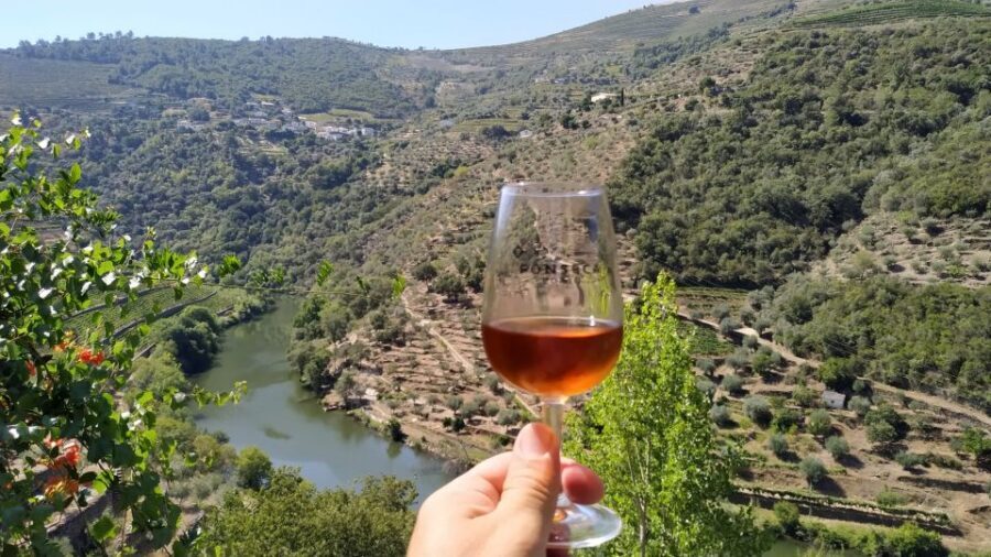 Porto: Douro Valley Wine Tour with Tastings, Boat, and Lunch - The small-boat Douro cruise from Pinhão