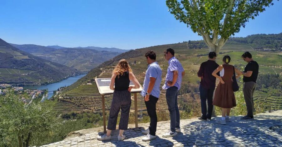 Porto: Douro Valley Wine Tour with Tastings, Boat, and Lunch - Price and value: what $153 buys in an 8.5-hour tasting day