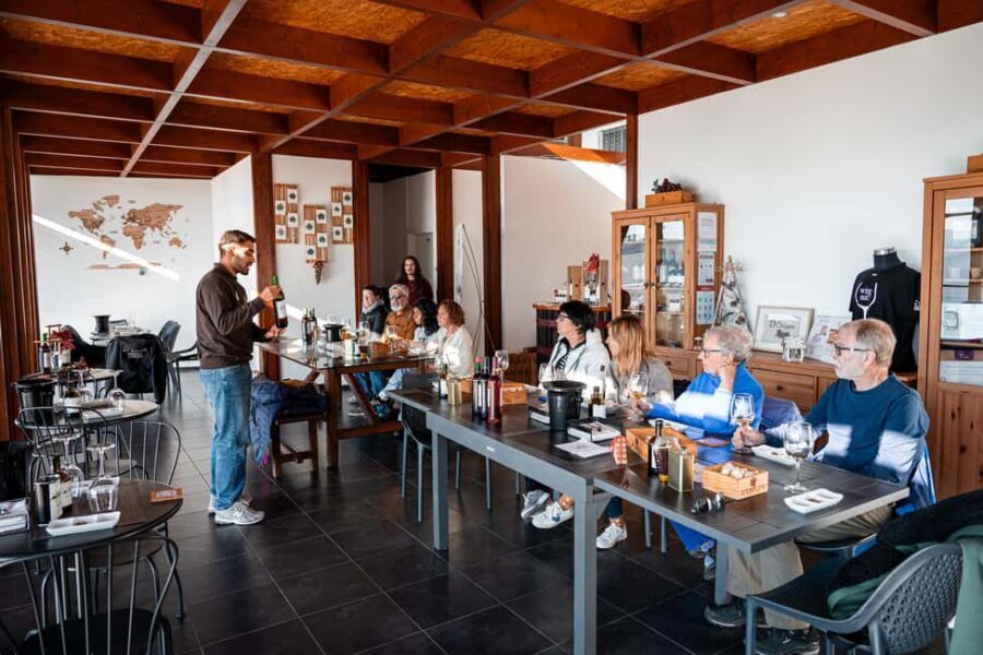 Porto: Douro Wine Tour with Lunch and River Cruise - Price and value: is $153 a good deal?