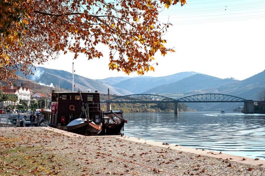 Porto: Douro Wine Tour with Lunch and River Cruise - Porto to the Douro Valley: a 9-hour plan that respects your time