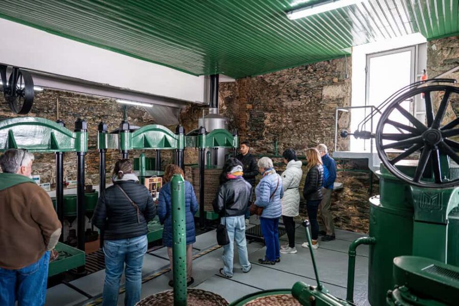 Porto: Douro Wine Tour with Lunch and River Cruise - Lunch in Pinhão: the most “local” moment of the day
