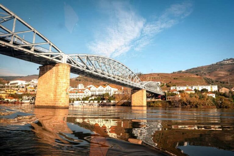 Porto: Douro Wine Tour with Lunch and River Cruise - The drive on the N222: why the viewpoints matter